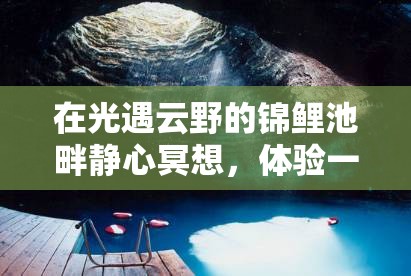 在光遇云野的锦鲤池畔静心冥想，体验一场深度的心灵净化与洗礼