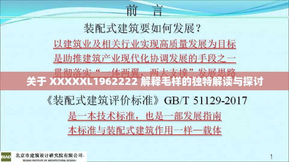 关于 XXXXXL1962222 解释毛样的独特解读与探讨