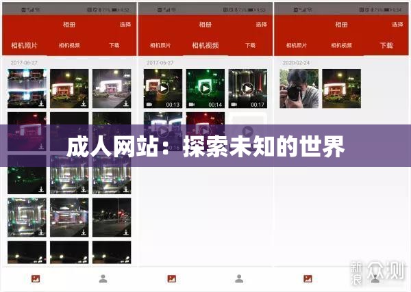 成人网站：探索未知的世界
