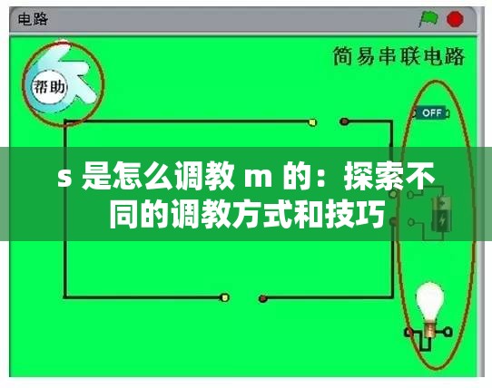 s 是怎么调教 m 的：探索不同的调教方式和技巧