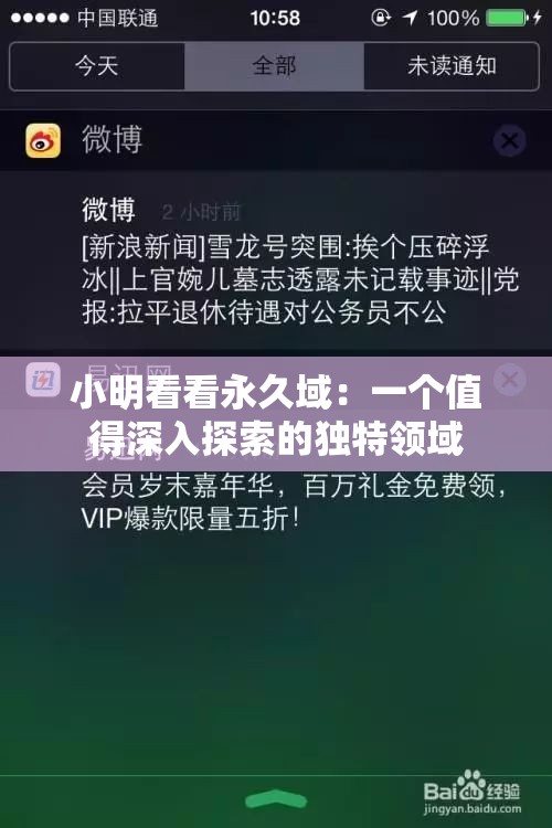 小明看看永久域：一个值得深入探索的独特领域