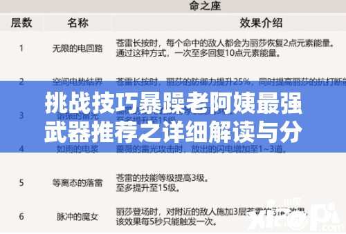 挑战技巧暴躁老阿姨最强武器推荐之详细解读与分析