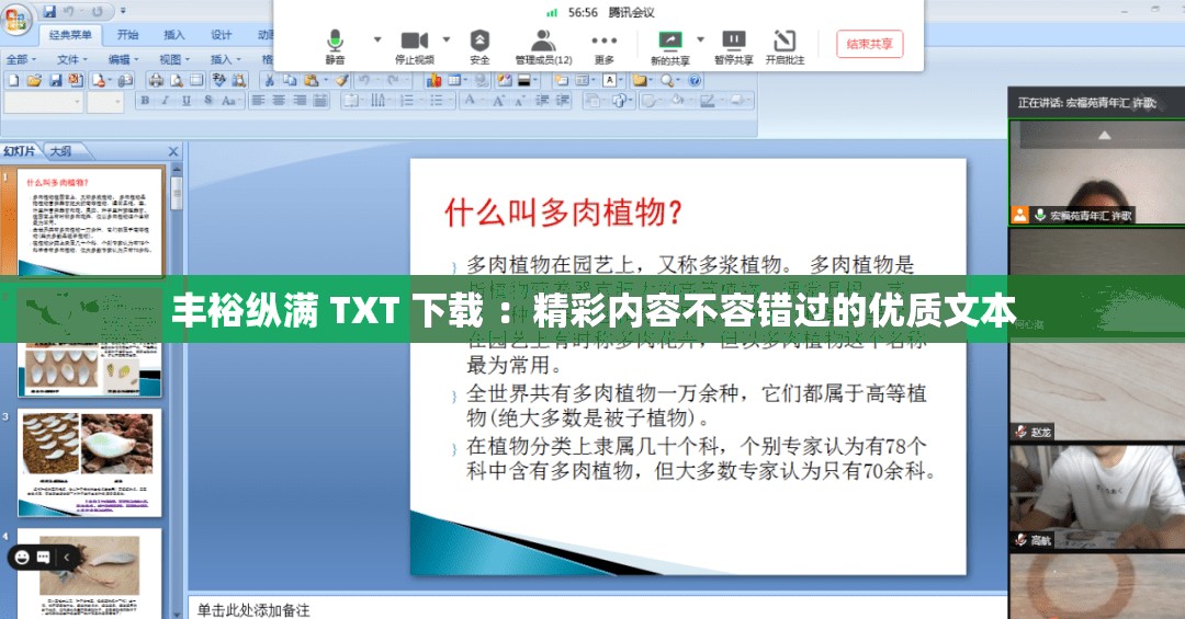 丰裕纵满 TXT 下载 ：精彩内容不容错过的优质文本