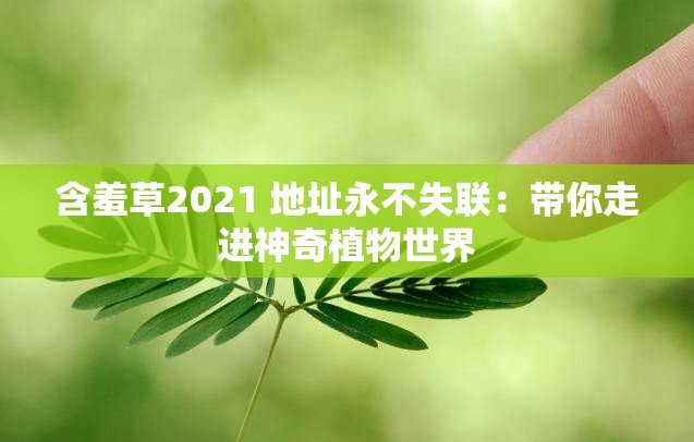 含羞草2021 地址永不失联：带你走进神奇植物世界