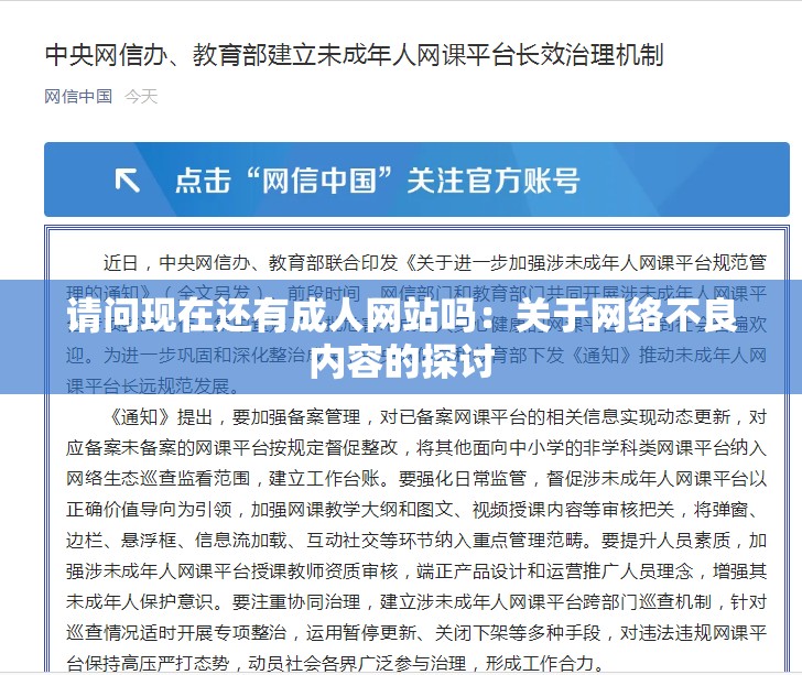 请问现在还有成人网站吗：关于网络不良内容的探讨