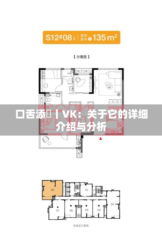 口舌添泬丨VK：关于它的详细介绍与分析