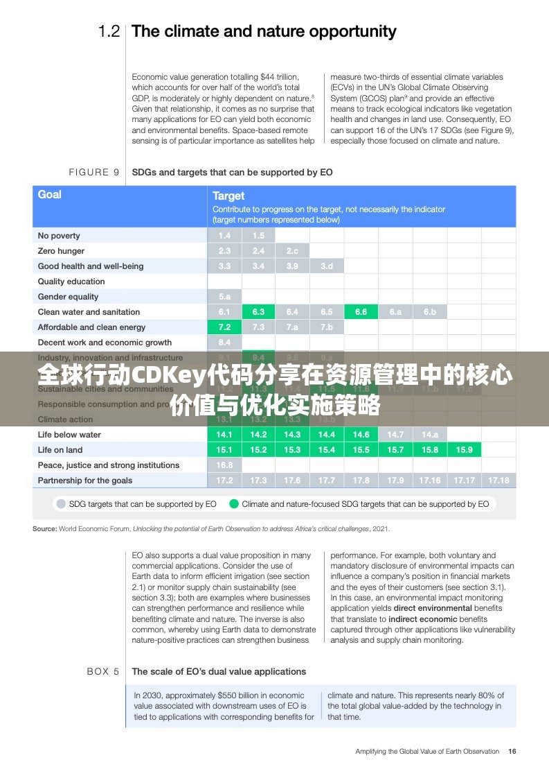 全球行动CDKey代码分享在资源管理中的核心价值与优化实施策略