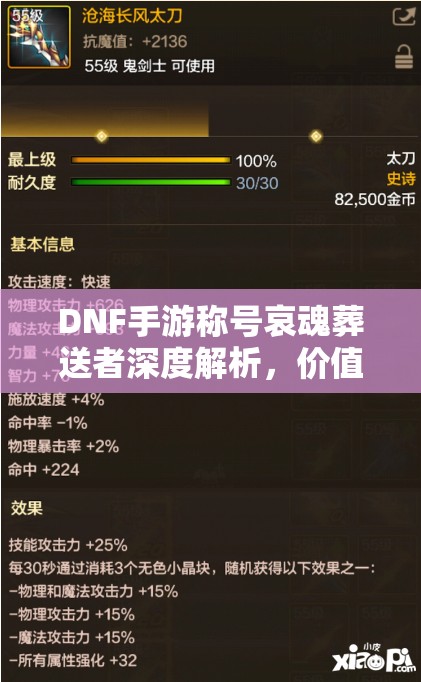 DNF手游称号哀魂葬送者深度解析，价值评估、获取途径与管理优化策略