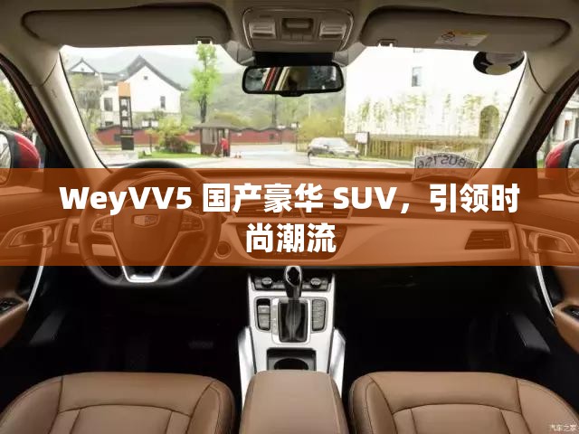 WeyVV5 国产豪华 SUV，引领时尚潮流