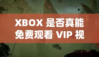 XBOX 是否真能免费观看 VIP 视频呢