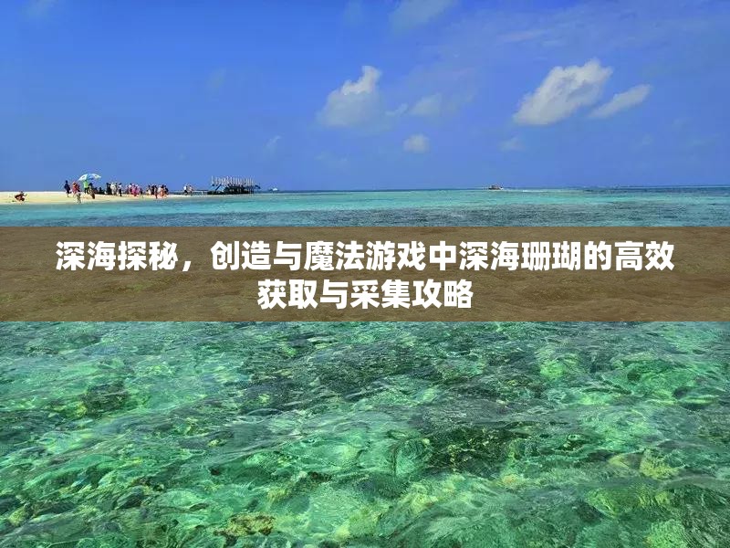 深海探秘，创造与魔法游戏中深海珊瑚的高效获取与采集攻略