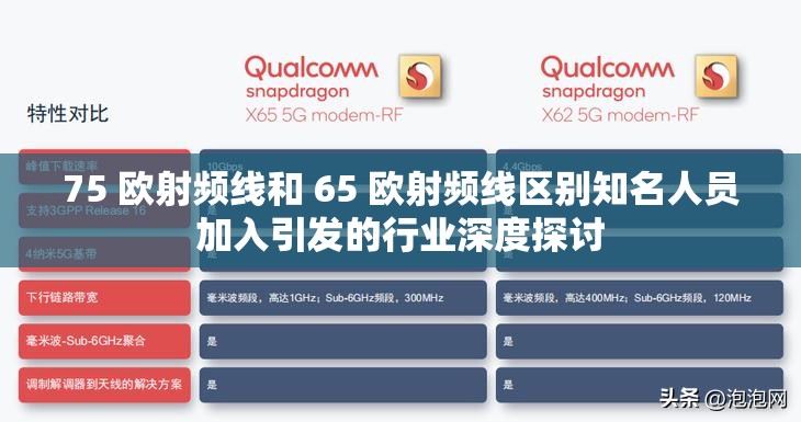 75 欧射频线和 65 欧射频线区别知名人员加入引发的行业深度探讨