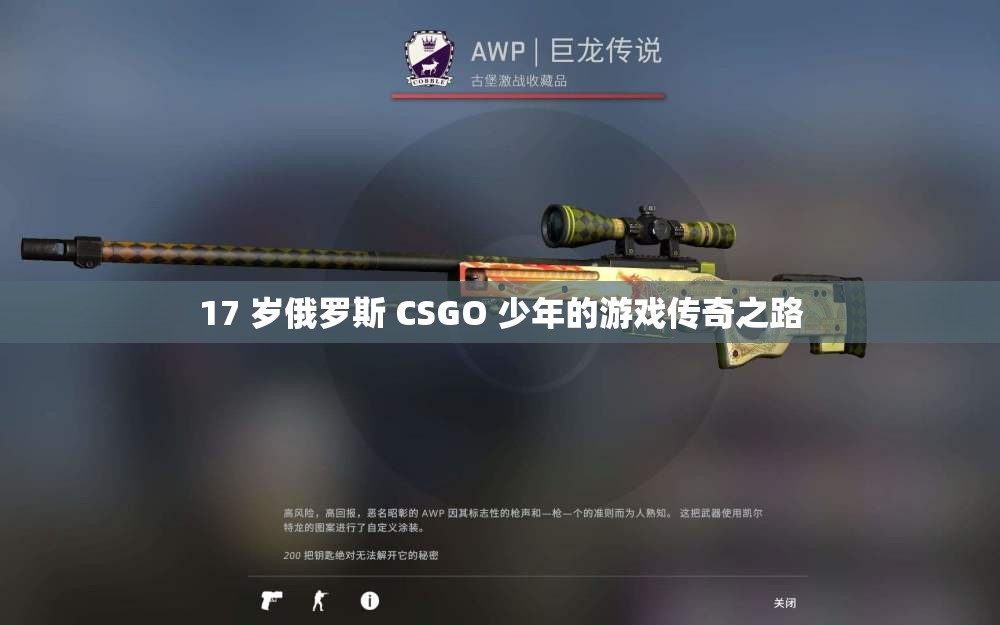 17 岁俄罗斯 CSGO 少年的游戏传奇之路