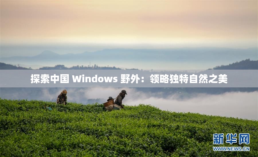 探索中国 Windows 野外：领略独特自然之美