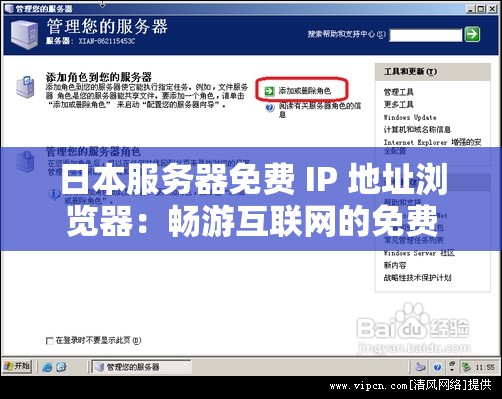 日本服务器免费 IP 地址浏览器：畅游互联网的免费之道