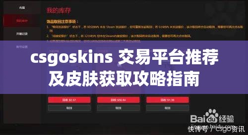 csgoskins 交易平台推荐及皮肤获取攻略指南