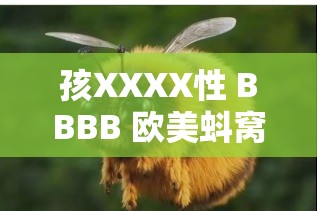 孩XXXX性 BBBB 欧美蚪窝：探索独特的欧美风情之旅