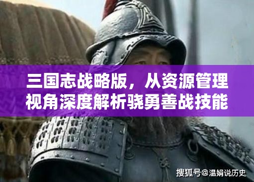 三国志战略版，从资源管理视角深度解析骁勇善战技能最适合哪位武将