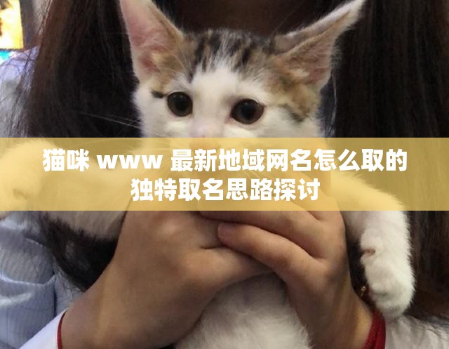 猫咪 www 最新地域网名怎么取的独特取名思路探讨