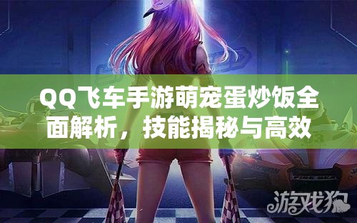 QQ飞车手游萌宠蛋炒饭全面解析，技能揭秘与高效获取攻略