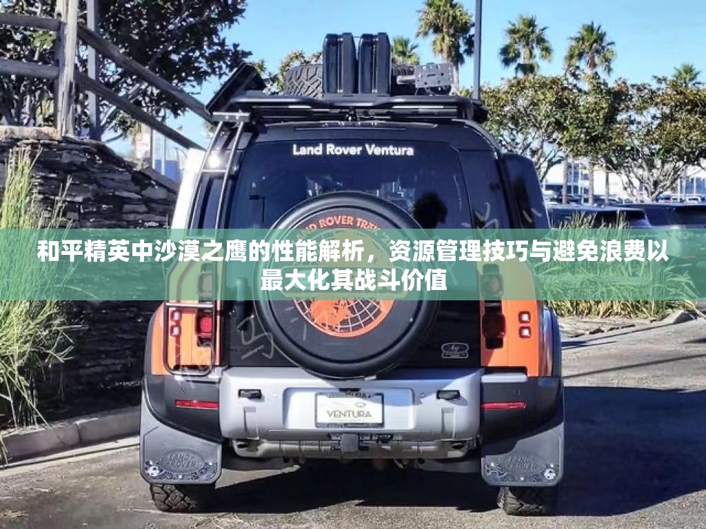 和平精英中沙漠之鹰的性能解析，资源管理技巧与避免浪费以最大化其战斗价值