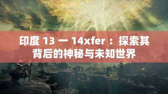 印度 13 一 14xfer ：探索其背后的神秘与未知世界