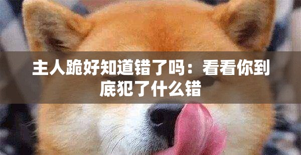 主人跪好知道错了吗：看看你到底犯了什么错