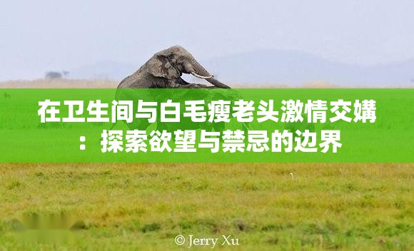 在卫生间与白毛瘦老头激情交媾：探索欲望与禁忌的边界