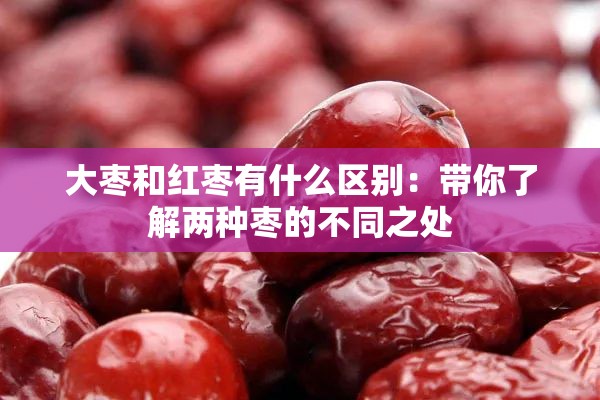 大枣和红枣有什么区别：带你了解两种枣的不同之处