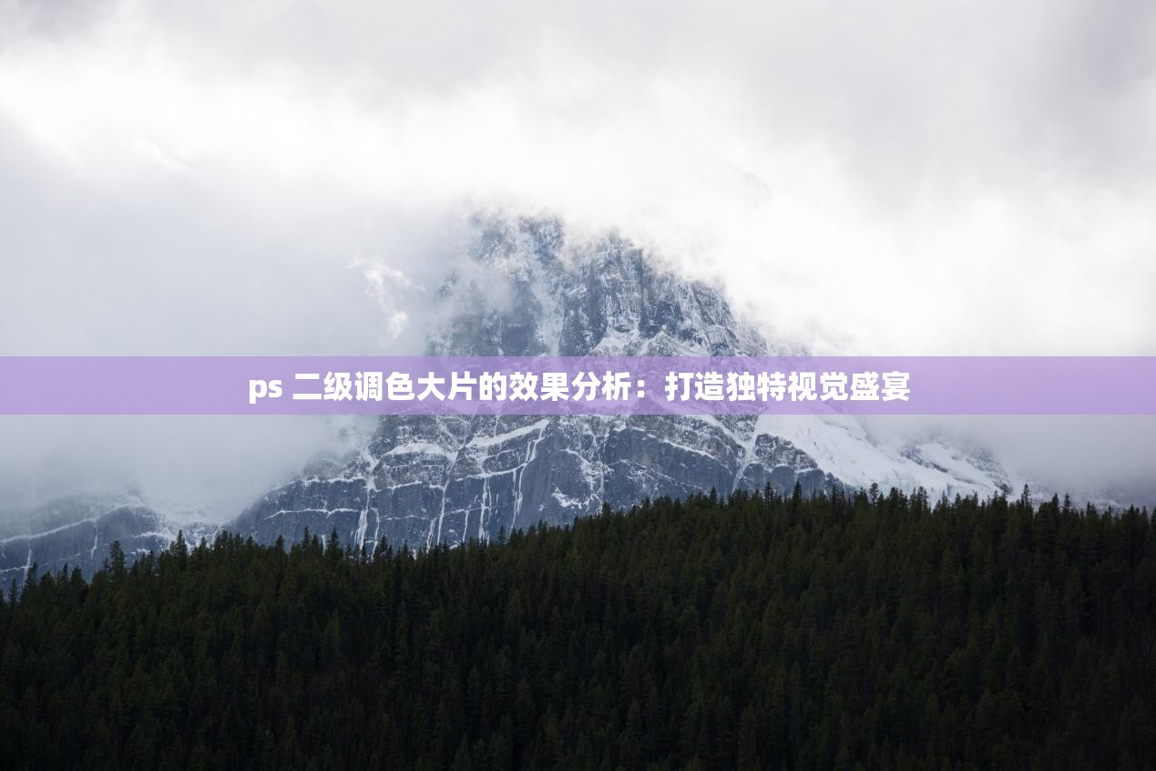 ps 二级调色大片的效果分析：打造独特视觉盛宴