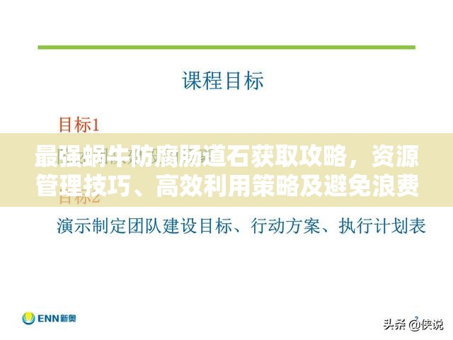 最强蜗牛防腐肠道石获取攻略，资源管理技巧、高效利用策略及避免浪费方法