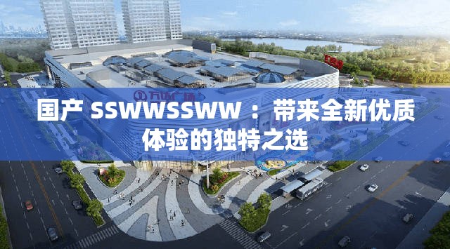 国产 SSWWSSWW ：带来全新优质体验的独特之选