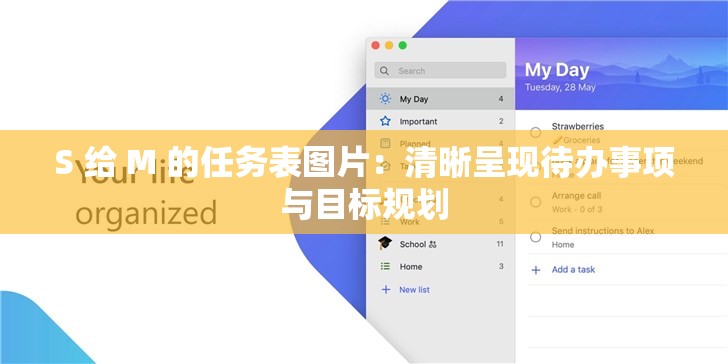 S 给 M 的任务表图片：清晰呈现待办事项与目标规划