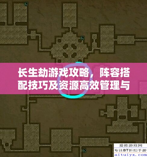 长生劫游戏攻略，阵容搭配技巧及资源高效管理与避免浪费策略