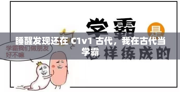 睡醒发现还在 C1v1 古代，我在古代当学霸