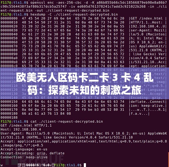 欧美无人区码卡二卡 3 卡 4 乱码：探索未知的刺激之旅