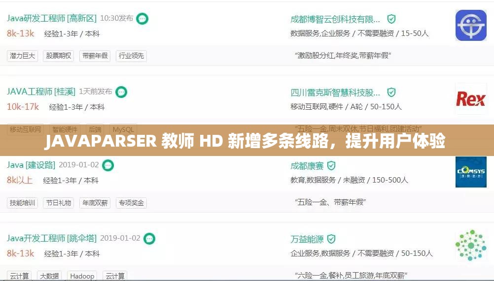 JAVAPARSER 教师 HD 新增多条线路，提升用户体验