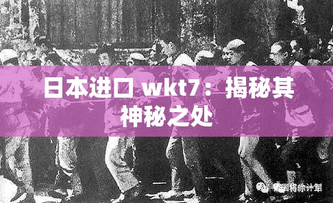 日本进口 wkt7：揭秘其神秘之处