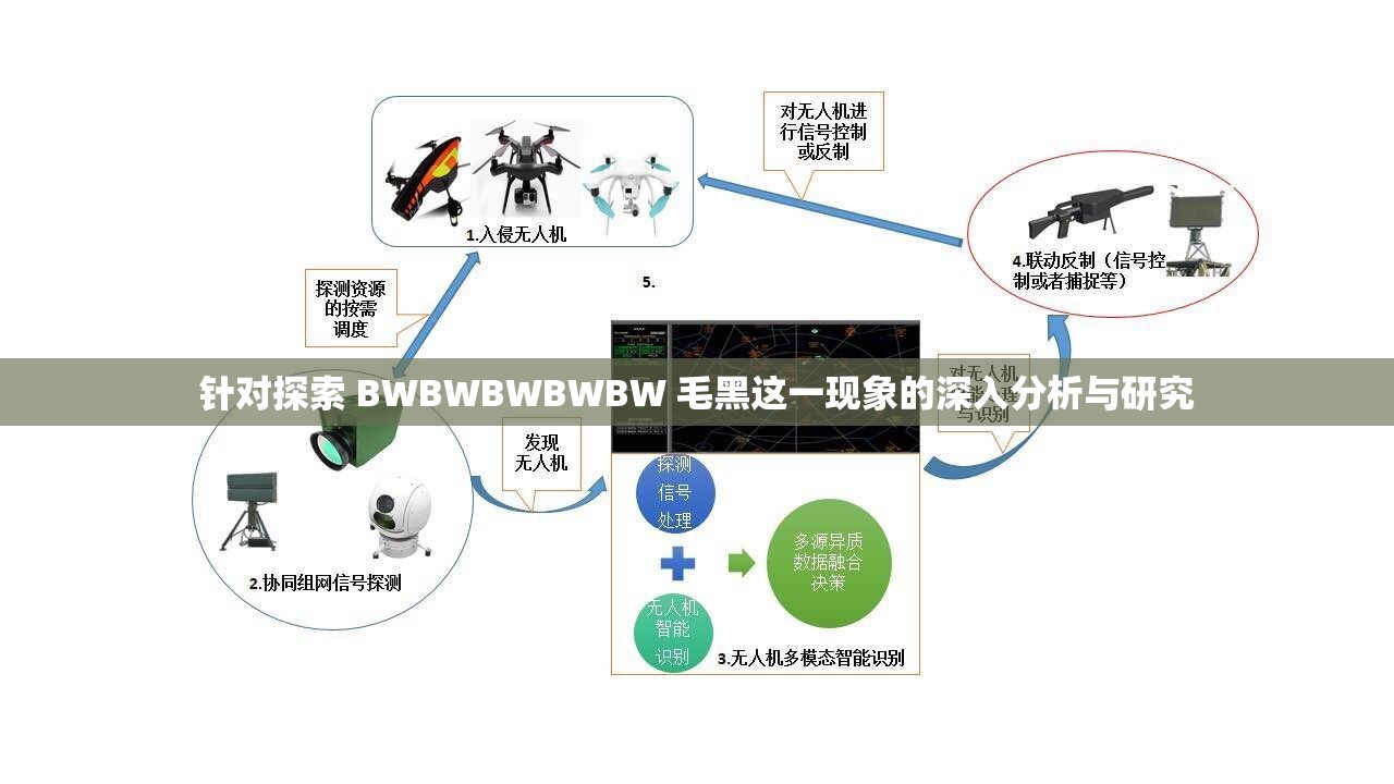 针对探索 BWBWBWBWBW 毛黑这一现象的深入分析与研究