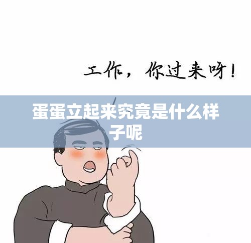 蛋蛋立起来究竟是什么样子呢