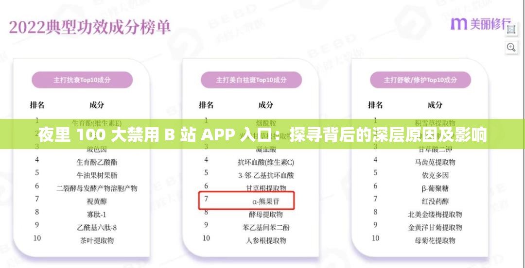 夜里 100 大禁用 B 站 APP 入口：探寻背后的深层原因及影响