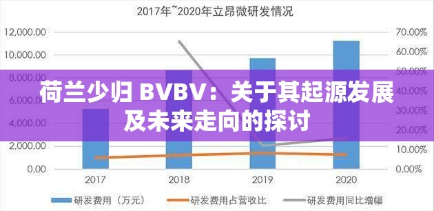 荷兰少归 BVBV：关于其起源发展及未来走向的探讨