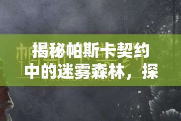 揭秘帕斯卡契约中的迷雾森林，探索路径、管理策略与价值最大化指南