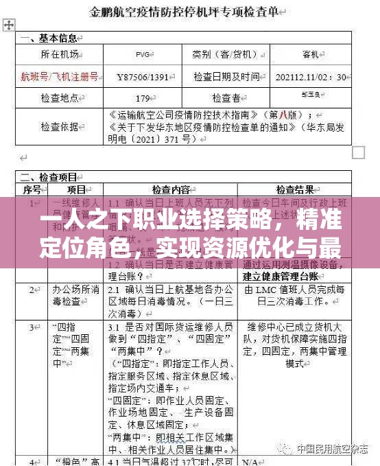 一人之下职业选择策略，精准定位角色，实现资源优化与最大化利用之道