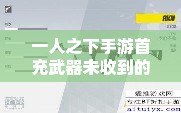 一人之下手游首充武器未收到的有效应对策略及如何实现价值最大化