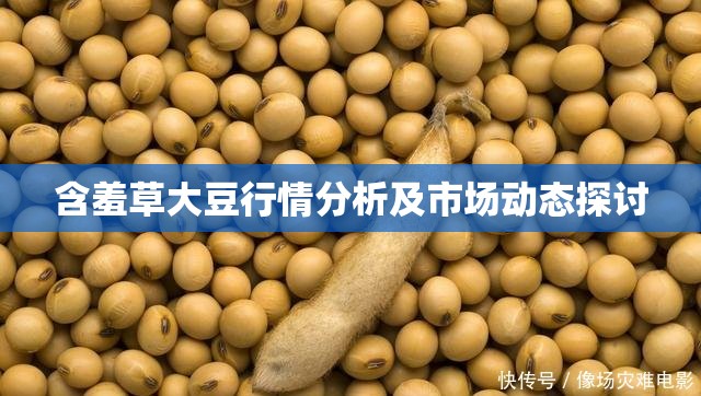 含羞草大豆行情分析及市场动态探讨