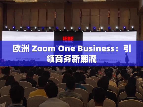 欧洲 Zoom One Business：引领商务新潮流