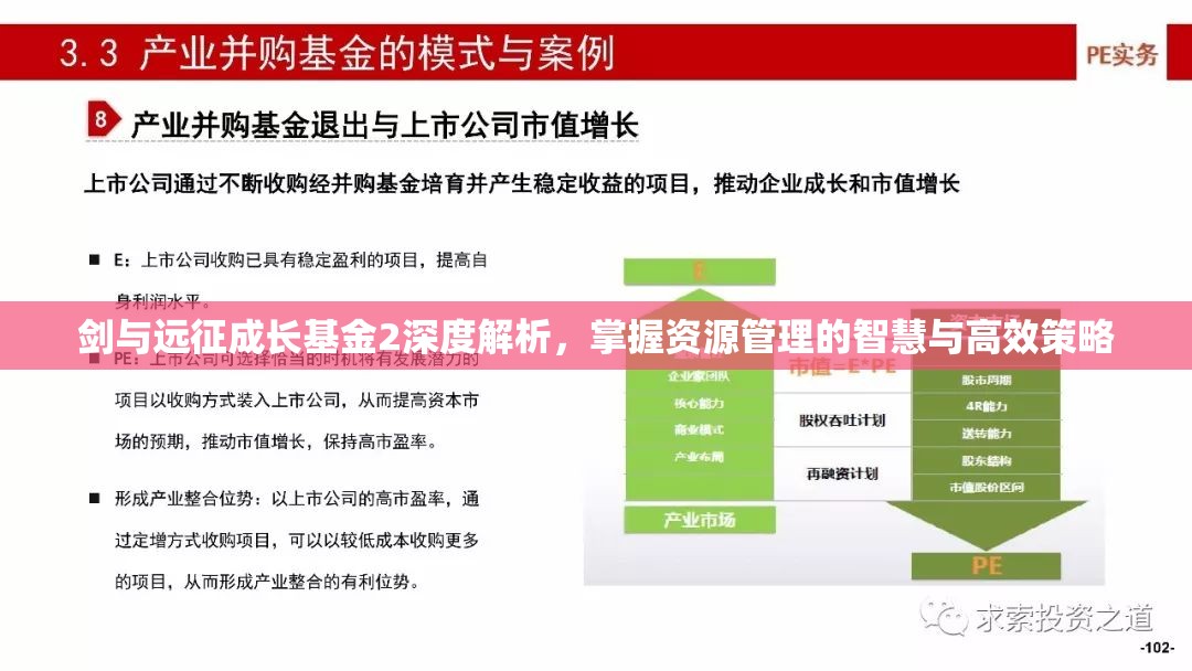 剑与远征成长基金2深度解析，掌握资源管理的智慧与高效策略