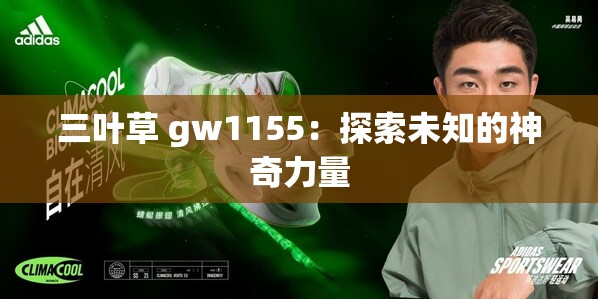 三叶草 gw1155：探索未知的神奇力量