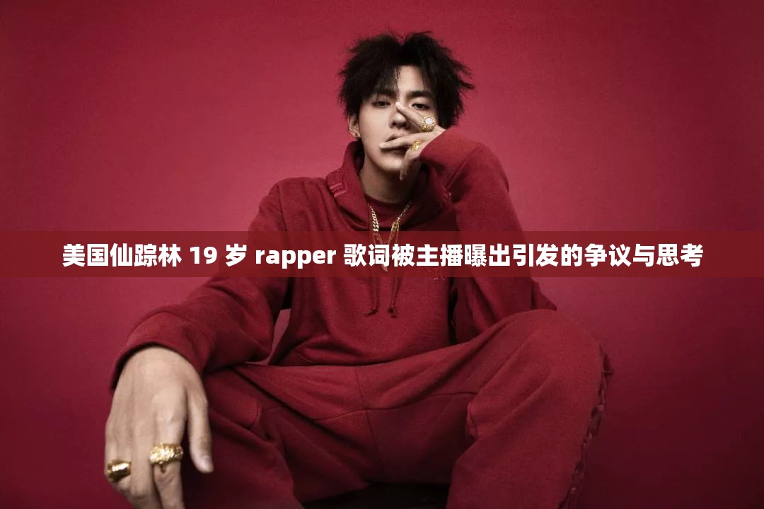 美国仙踪林 19 岁 rapper 歌词被主播曝出引发的争议与思考